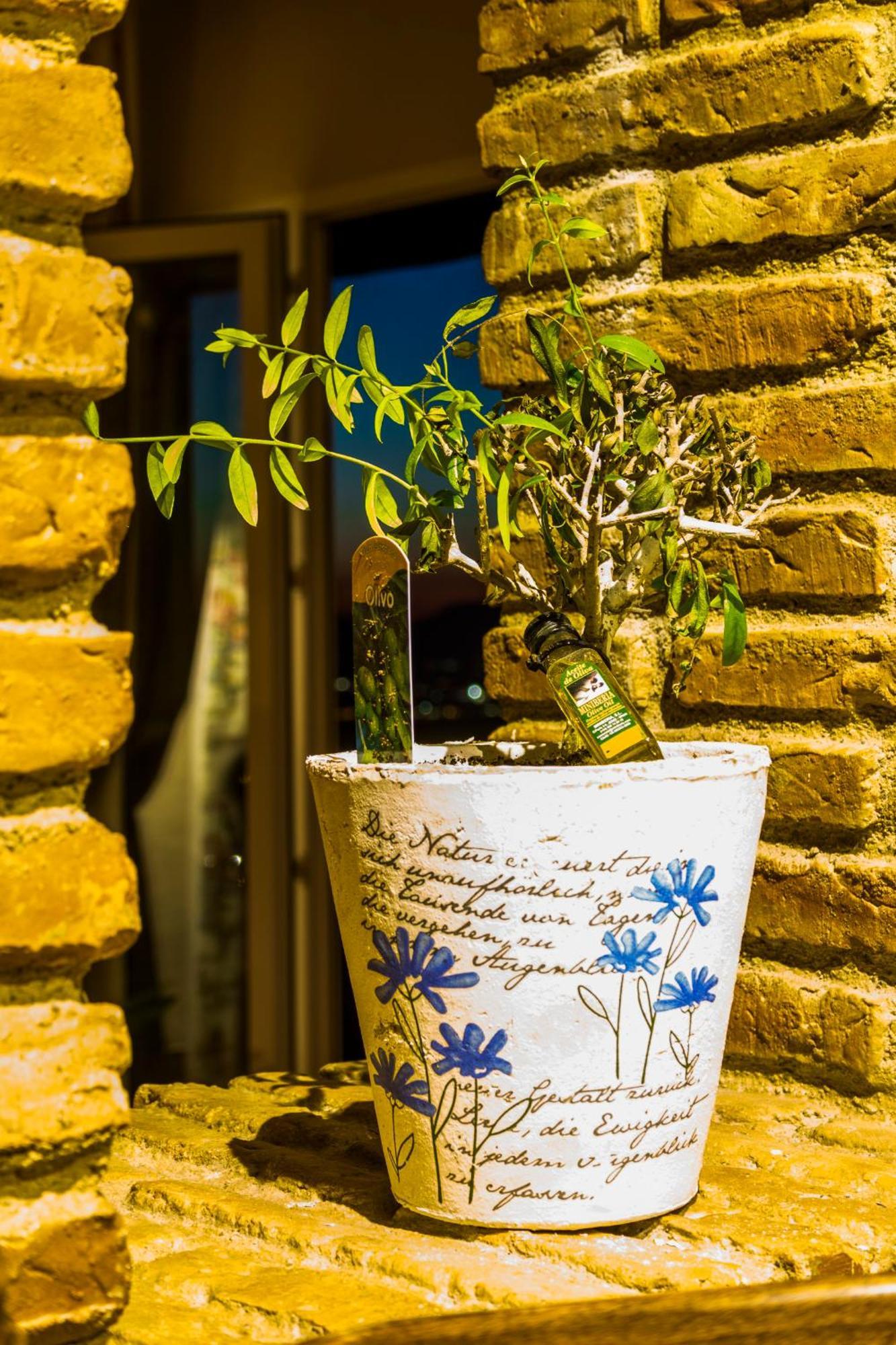 לה זוביה Hotel El Balcon De Las Nieves מראה חיצוני תמונה