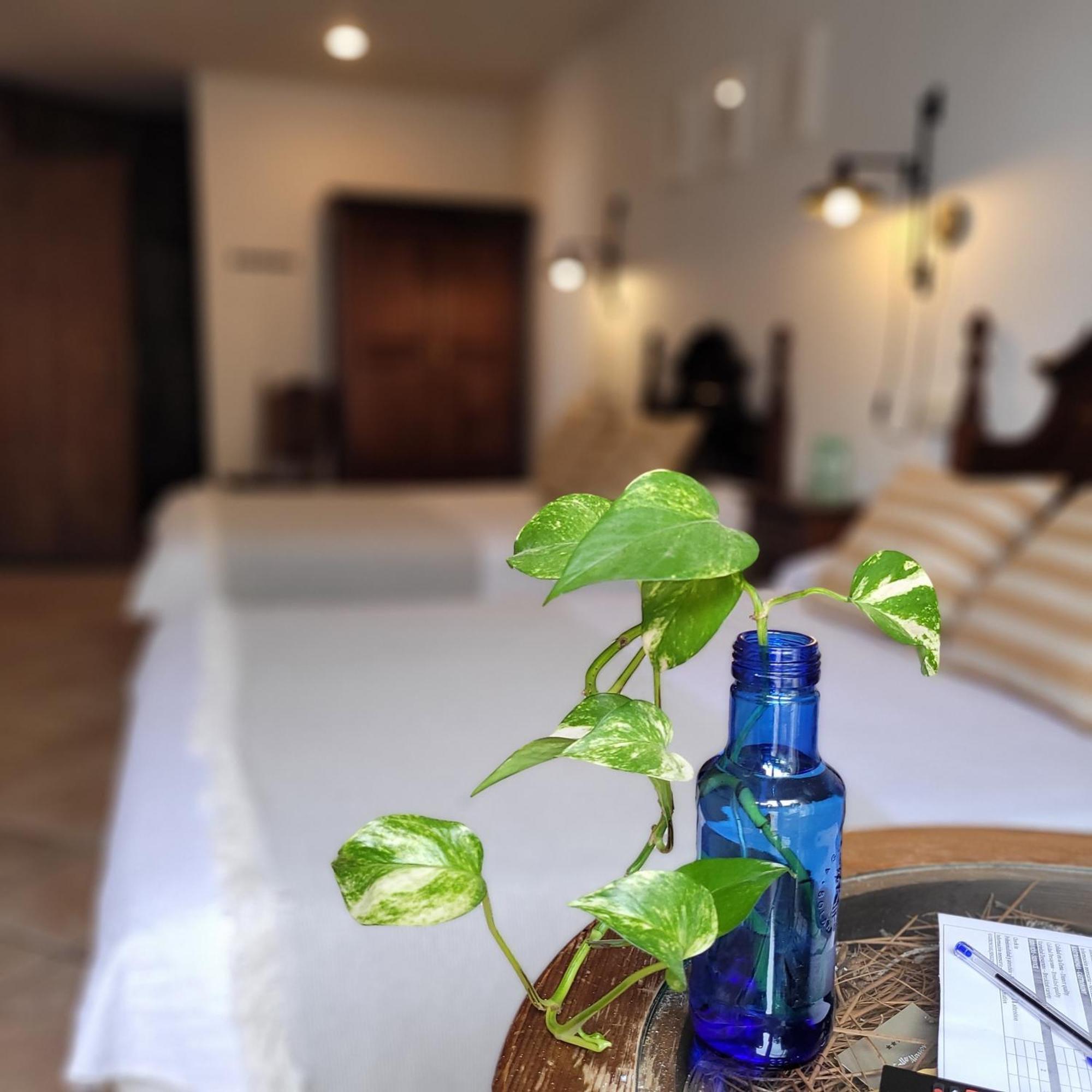 לה זוביה Hotel El Balcon De Las Nieves מראה חיצוני תמונה